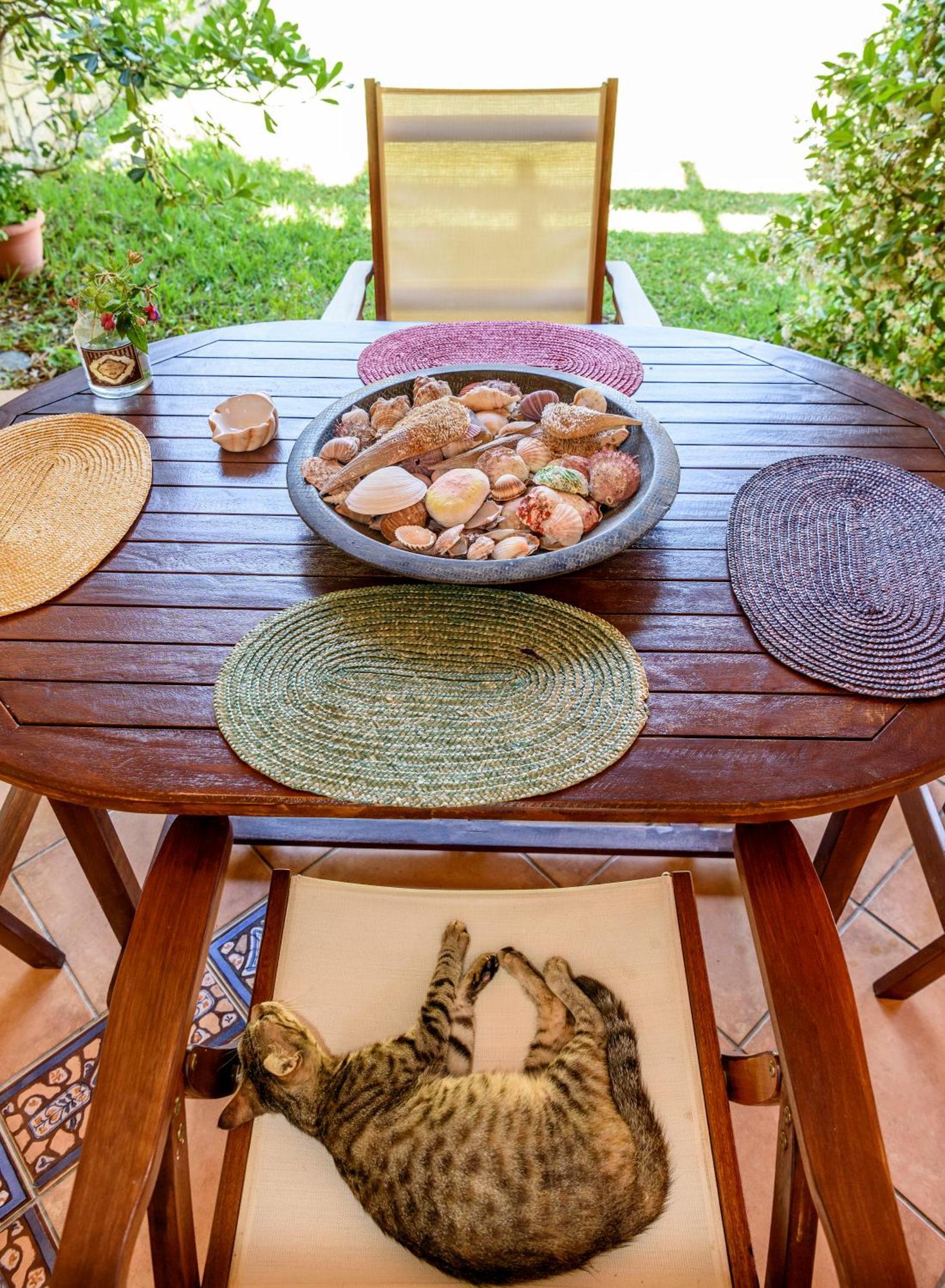 La Luna House بيفكوهوري المظهر الخارجي الصورة